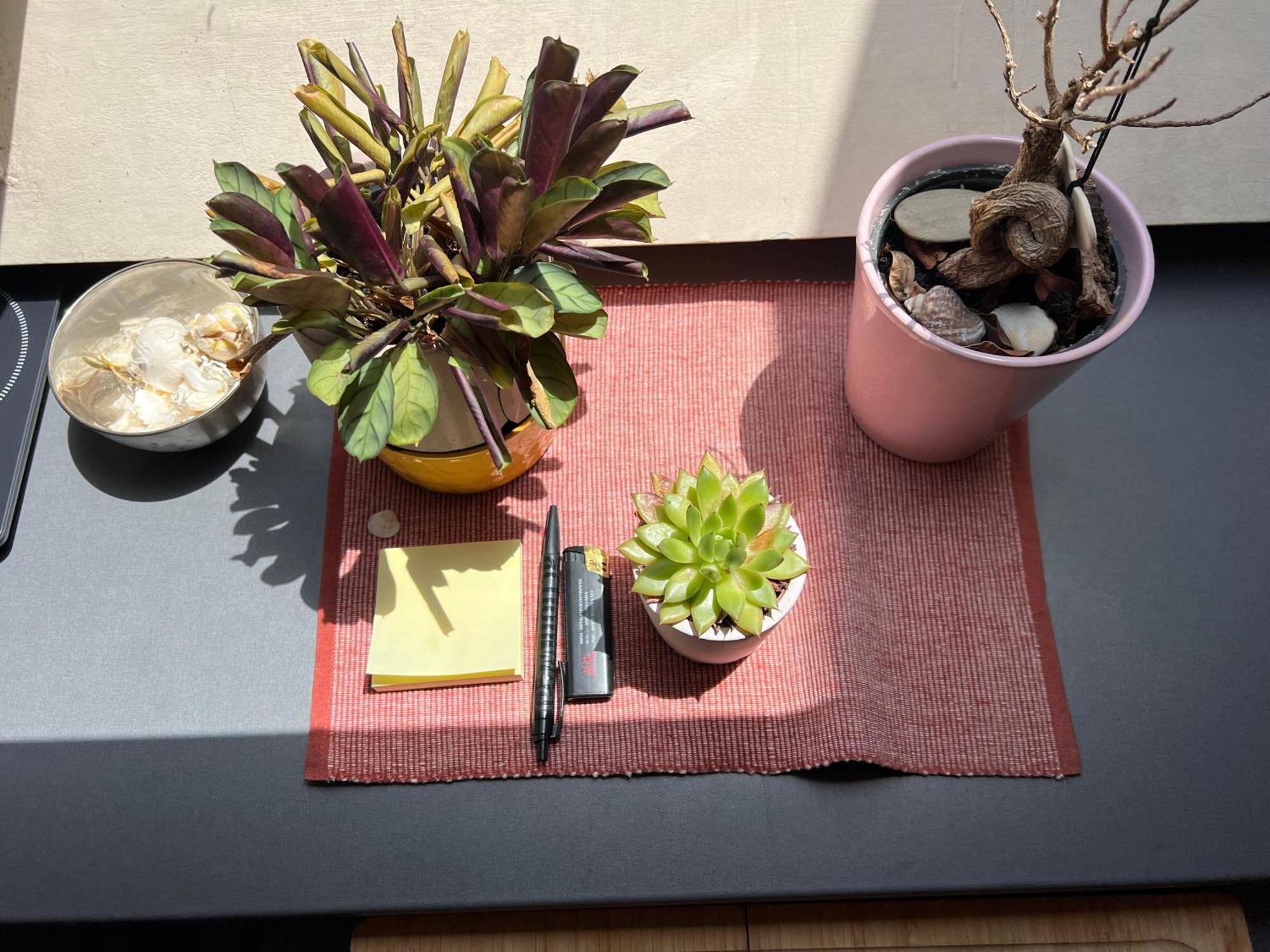 Cosy Rooftop In Center 소피아 외부 사진